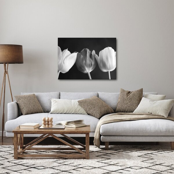 Obraz - Černobílé květy tulipánů (70x50 cm)