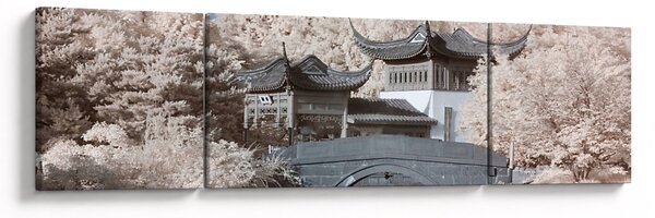 Obraz - Rozkvetlé stromy v Asii (170x50 cm)