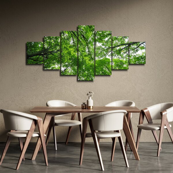 Obraz - Pohled do korun stromů (210x100 cm)