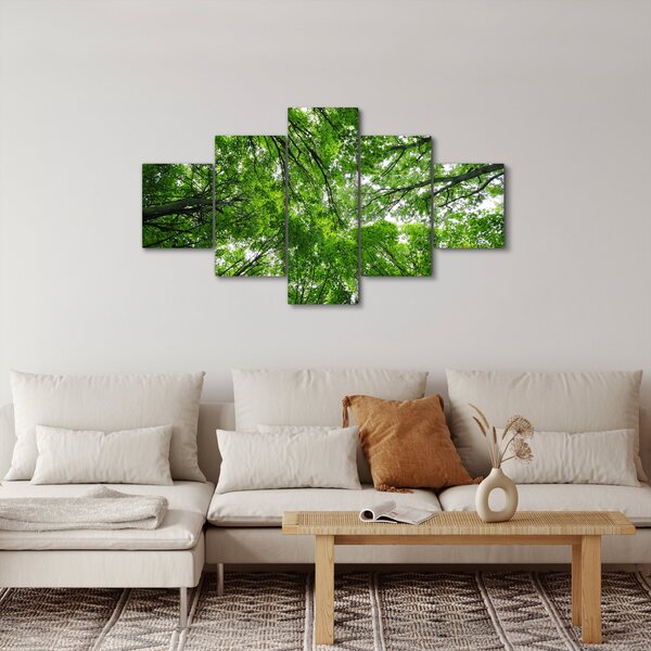 Obraz - Pohled do korun stromů (125x70 cm)