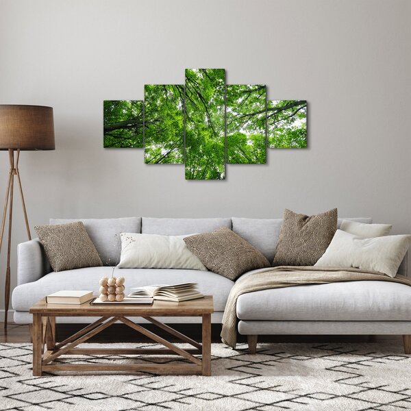 Obraz - Pohled do korun stromů (125x70 cm)