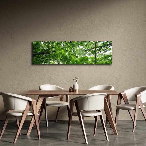 Obraz - Pohled do korun stromů (170x50 cm)