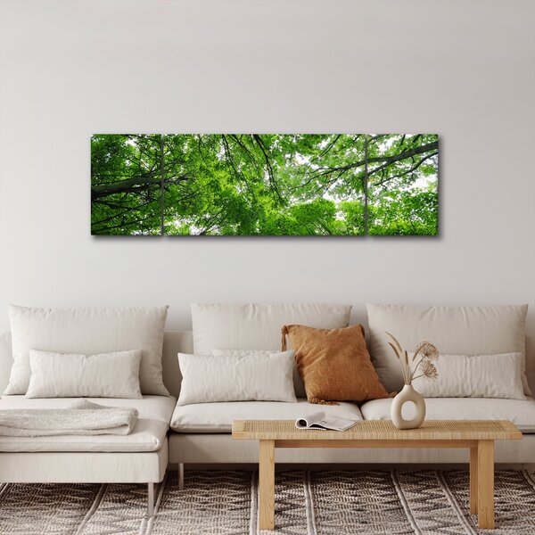 Obraz - Pohled do korun stromů (170x50 cm)