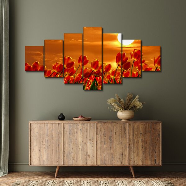 Obraz rozkvetlého lánu s tulipány (210x100 cm)
