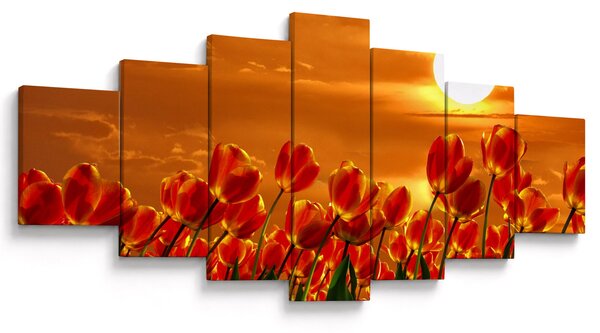 Obraz rozkvetlého lánu s tulipány (210x100 cm)