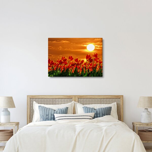 Obraz rozkvetlého lánu s tulipány (70x50 cm)