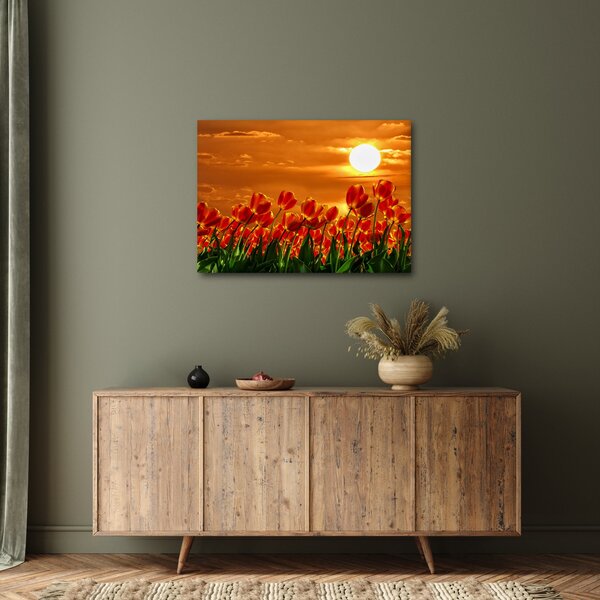 Obraz rozkvetlého lánu s tulipány (70x50 cm)