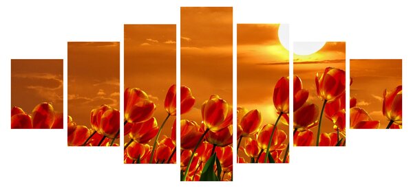 Obraz rozkvetlého lánu s tulipány (210x100 cm)
