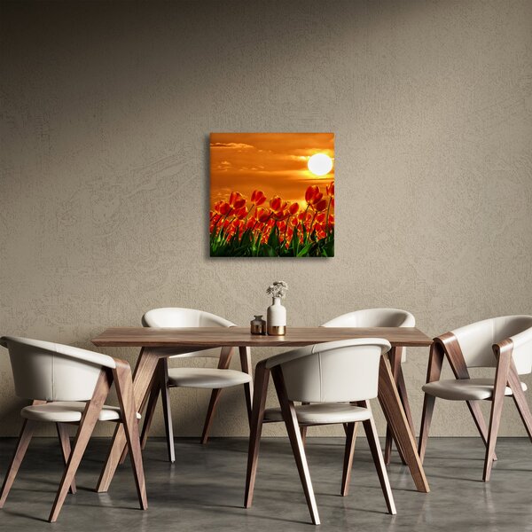 Obraz rozkvetlého lánu s tulipány (30x30 cm)