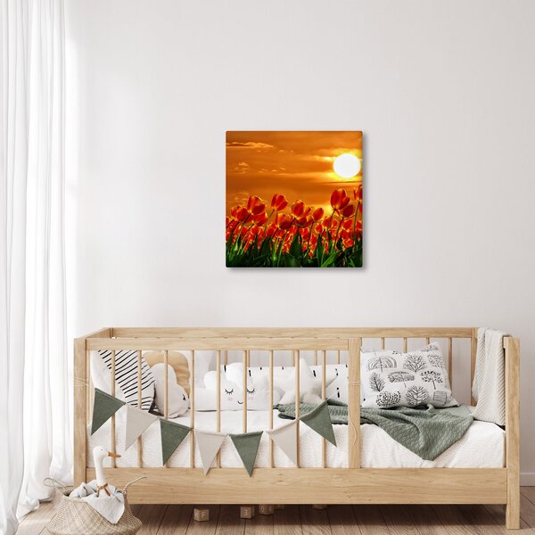 Obraz rozkvetlého lánu s tulipány (30x30 cm)