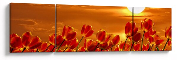 Obraz rozkvetlého lánu s tulipány (170x50 cm)