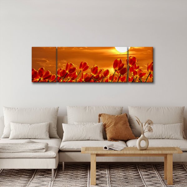 Obraz rozkvetlého lánu s tulipány (170x50 cm)