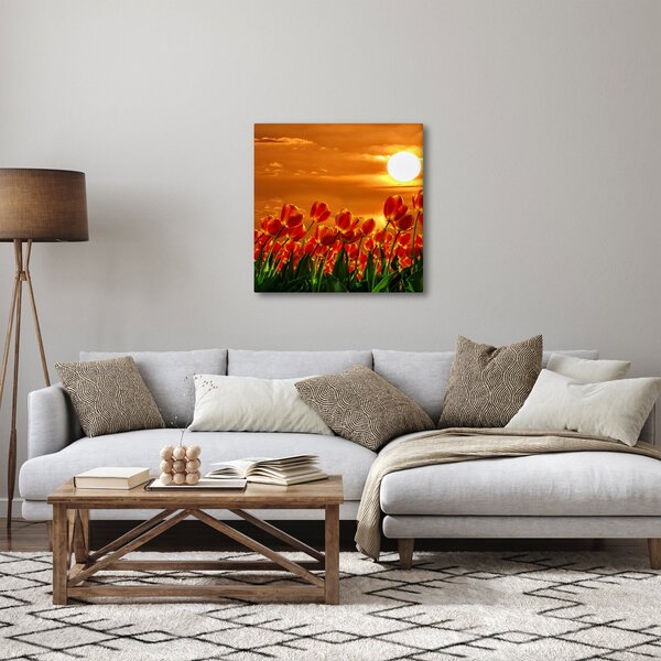 Obraz rozkvetlého lánu s tulipány (30x30 cm)