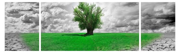 Obraz - Kus přírody ve městě (170x50 cm)
