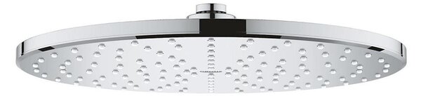 GROHE 26562000 - Hlavová sprcha RAINSHOWER MONO 310 mm lesklý chrom
