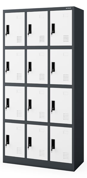Šatní skříň s 12 uzamykatelnými boxy, antracitovo-bílá, 900x1850x400 mm: MARCIN