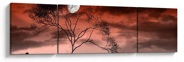 Obraz - Měsíc osvětlující noc (170x50 cm)