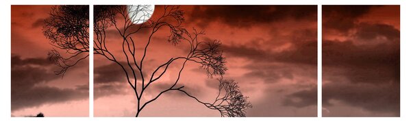 Obraz - Měsíc osvětlující noc (170x50 cm)
