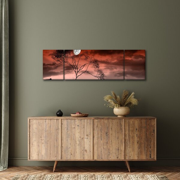 Obraz - Měsíc osvětlující noc (170x50 cm)