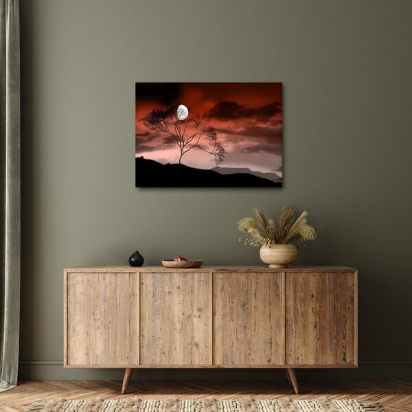 Obraz - Měsíc osvětlující noc (70x50 cm)
