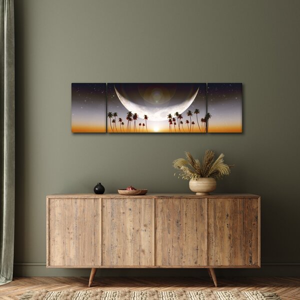 Obraz - Měsíc nad palmami (170x50 cm)