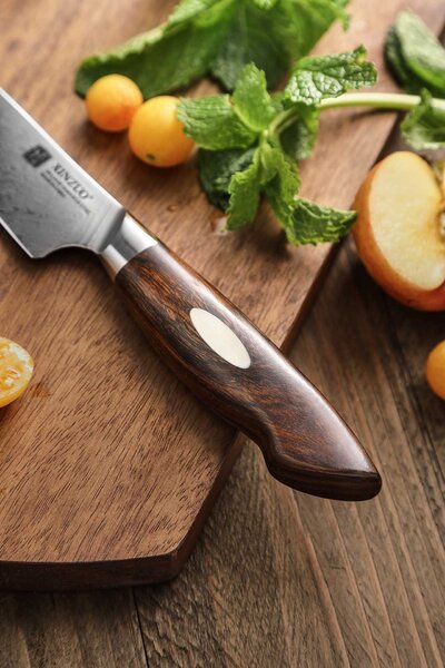 Nůž na ovoce a zeleninu XinZuo B46D 5"