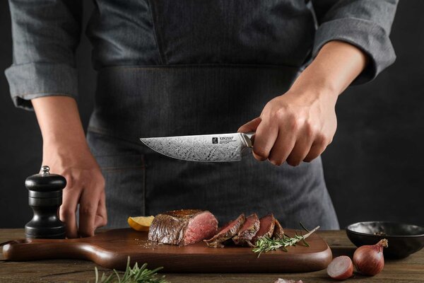 Steakový nůž XinZuo B46D 5"
