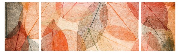 Obraz malovaného podzimního listí (170x50 cm)