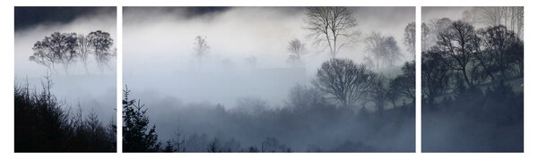Obraz mlhy nad lesem (170x50 cm)