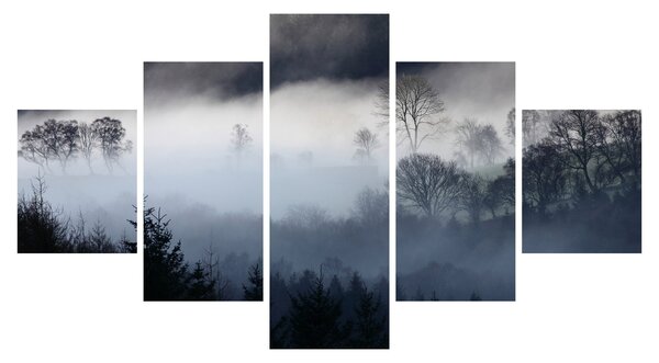 Obraz mlhy nad lesem (125x70 cm)