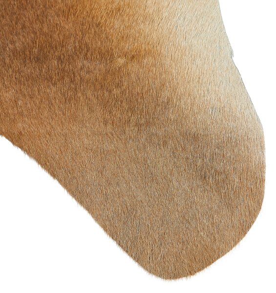 HOVĚZÍ KOŽEŠINA, 160/250 cm, hnědá Linea Natura - Online Only koberce & rohožky, Online Only