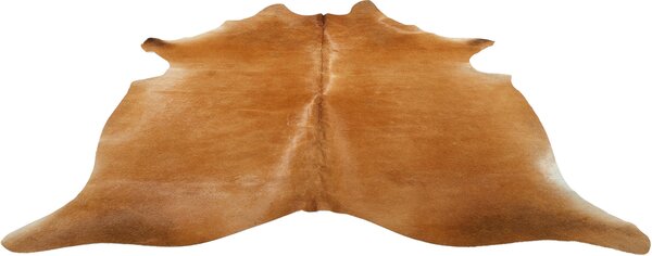 HOVĚZÍ KOŽEŠINA, 160/250 cm, hnědá Linea Natura - Online Only koberce & rohožky, Online Only