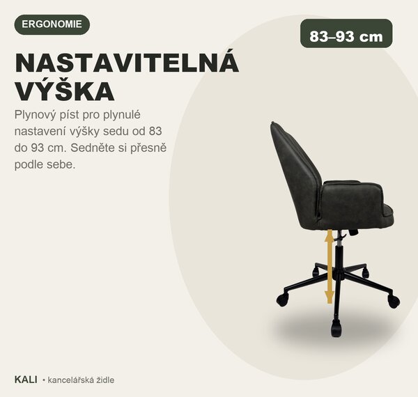 IDEPAR Kanclářská židle KALI - ČERNO HNĚDÁ