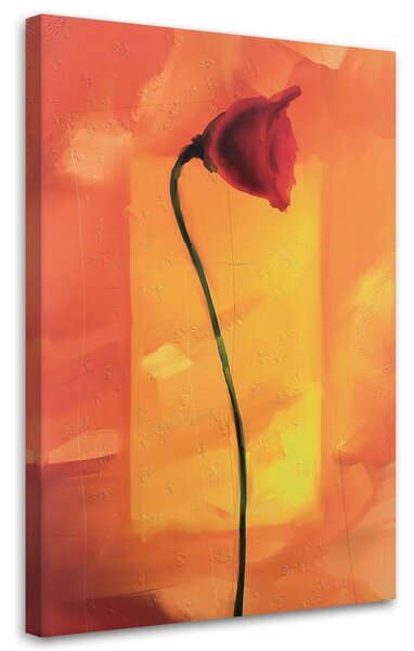 Obraz na plátně Osamělý květ máku Rozměry: 40 x 60 cm