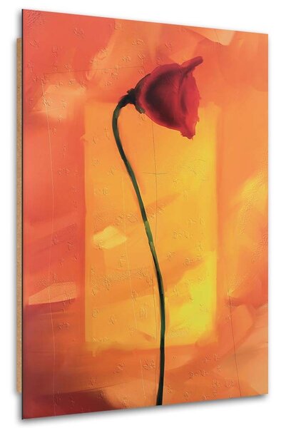 Obraz Osamělý květ máku Velikost: 40 x 60 cm, Provedení: Panelový obraz