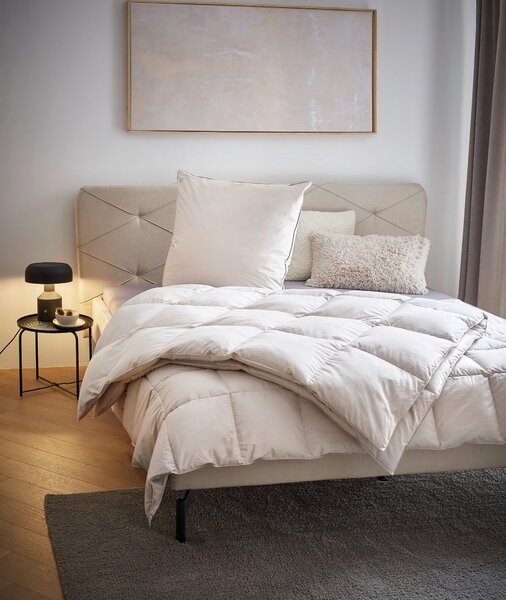 CELOROČNÍ PŘIKRÝVKA, 135/200 cm, prachové peří Centa-Star - Přikrývky, Online Only