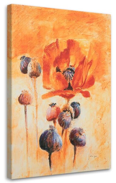 Obraz na plátně Kvetoucí máky jako ručně malovaný Rozměry: 40 x 60 cm