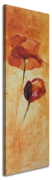 Obraz na plátně Dva květy máku Rozměry: 30 x 90 cm