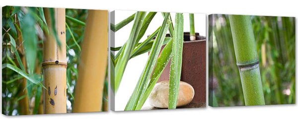 Sada obrazů na plátně Zenová bambusy - 3 dílná Rozměry: 90 x 30 cm