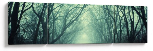 Obraz - Cesta s alejí stromů (170x50 cm)