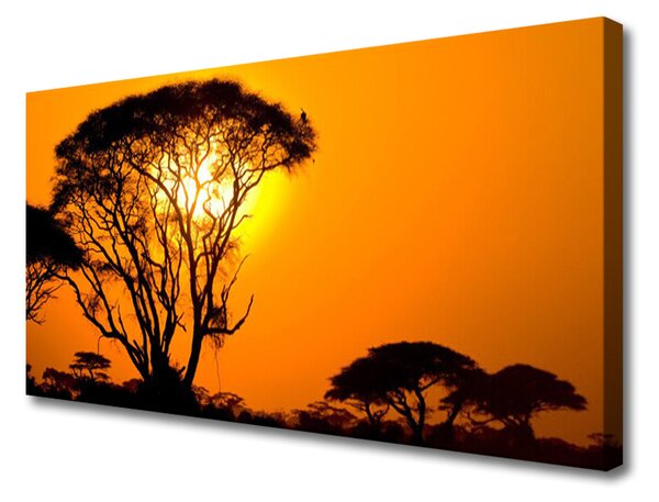 Obraz na plátně Strom Slunce Příroda 120x60 cm