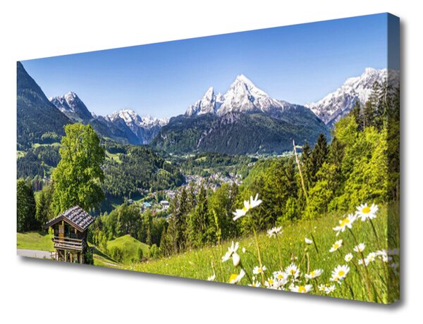 Obraz na plátně Hora Pole Příroda 125x50 cm
