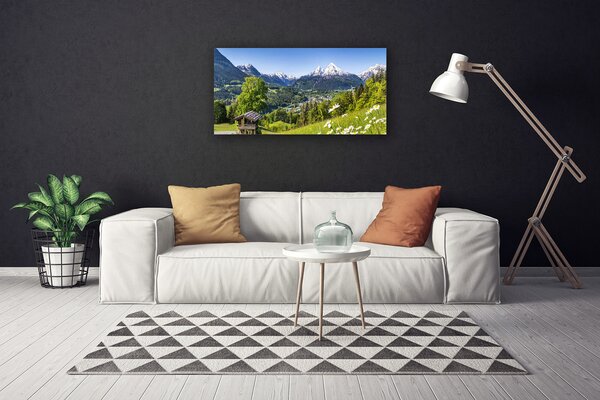 Obraz na plátně Hora Pole Příroda 120x60 cm