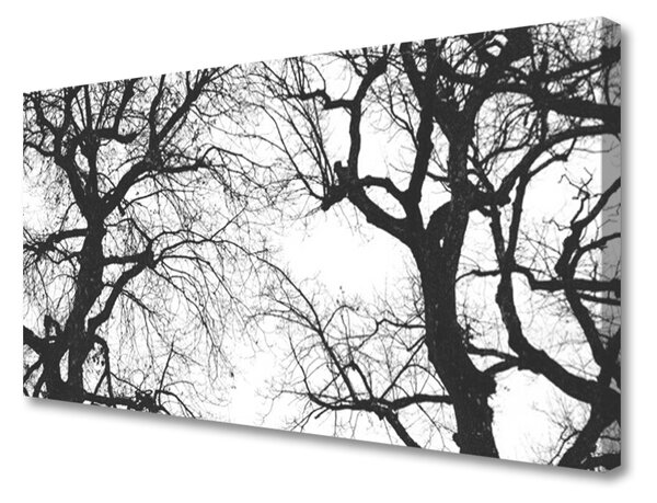 Obraz na plátně Stromy Příroda Černobílý 140x70 cm