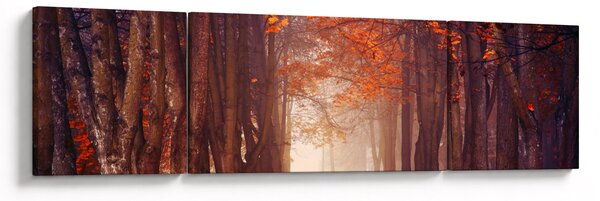 Obraz - Podzimní les (170x50 cm)