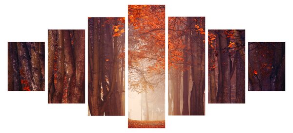 Obraz - Podzimní les (210x100 cm)
