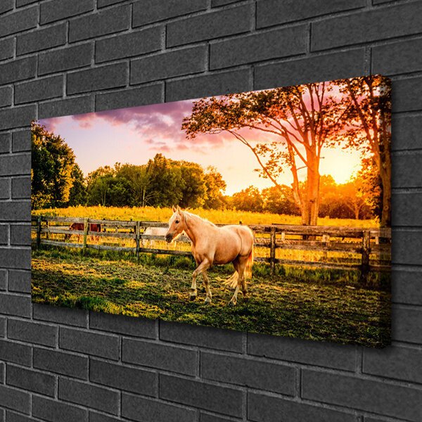 Obraz na plátně Kůň Louka Zvířata 100x50 cm