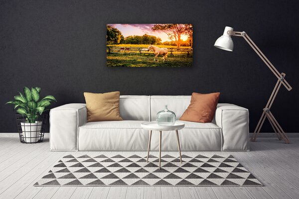 Obraz na plátně Kůň Louka Zvířata 100x50 cm