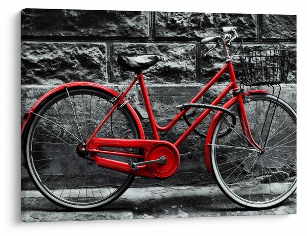 Obraz - Historický bicykl (70x50 cm)