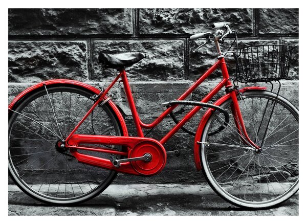 Obraz - Historický bicykl (70x50 cm)